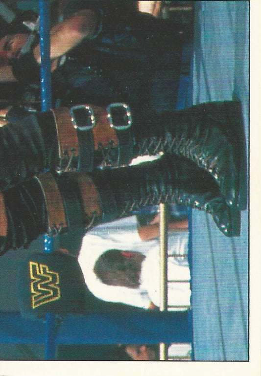 WWF Panini 1995 Sticker Collection Triple H #189