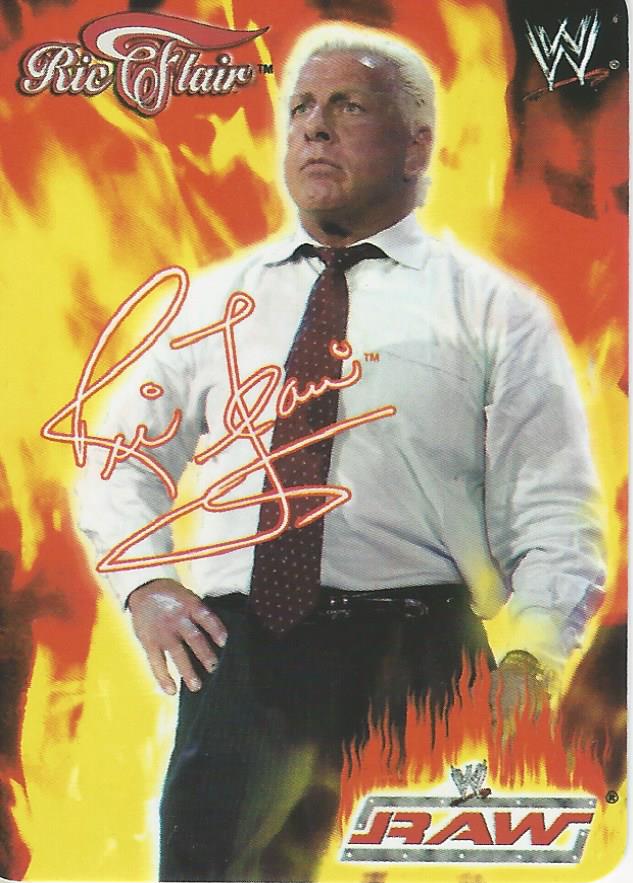 WWE Smackdown 2004 Tesla Ric Flair #18