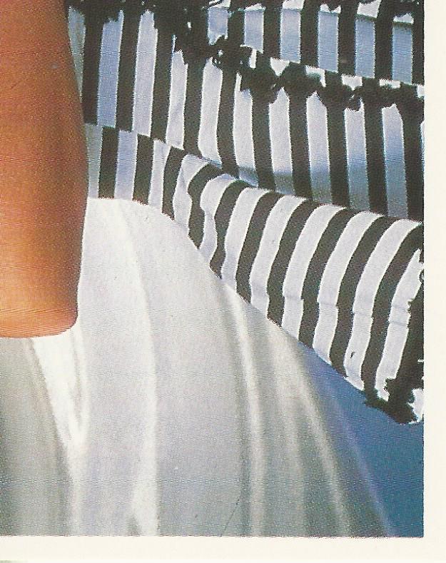 WWF Merlin Stickers 1991 Miss Elizabeth #196