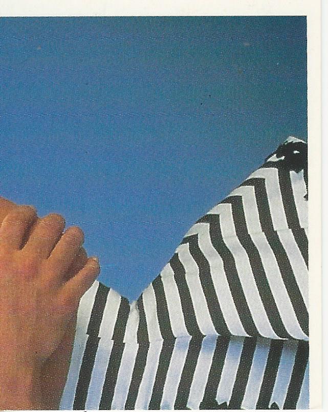 WWF Merlin Stickers 1991 Miss Elizabeth #197