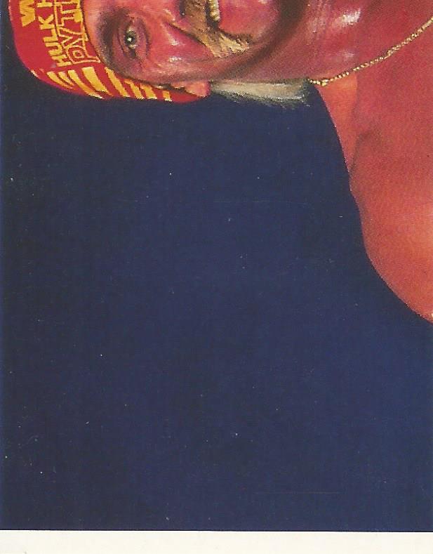WWF Merlin Stickers 1991 Hulk Hogan #1