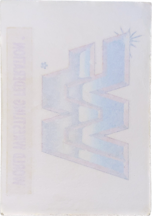 WWF Tattoos 1994 WWF Logo from Germany Pwcatalog