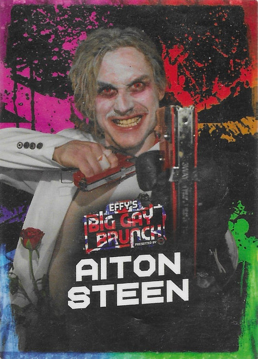 Aiton Steen