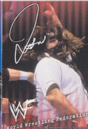 Mankind WWF Ice Cream Cut-out 2000 Good Humor PW Catalog