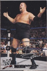 Big Show WWE Ice Cream Cut-out 2004 Good Humor PW Catalog