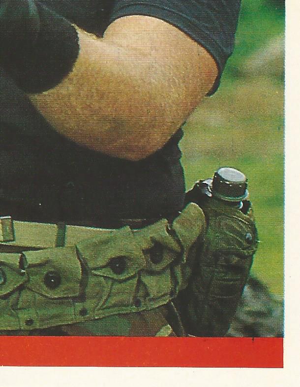 WWF Merlin Sticker Collection 1990 SGT Slaughter #202