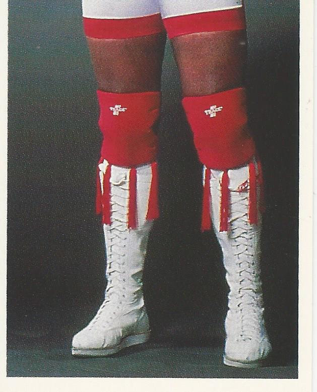 WWF Merlin Stickers 1991 Virgil #203