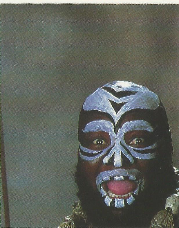 WWF Merlin Stickers 1992 Kamala #203