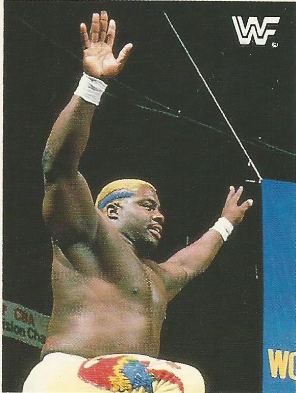 WWF Merlin Sticker Collection 1990 Koko B Ware #206