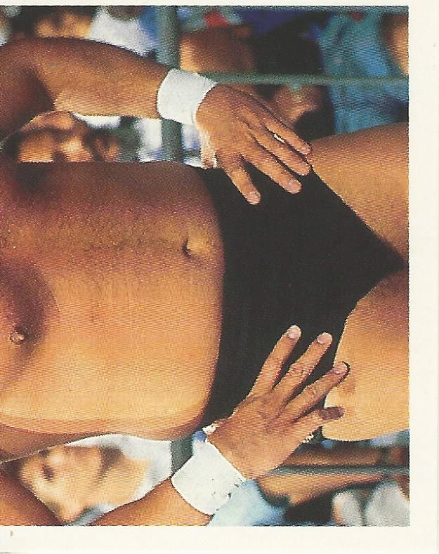 WWF Merlin Stickers 1991 Million Dollar Man Ted Dibiase #207