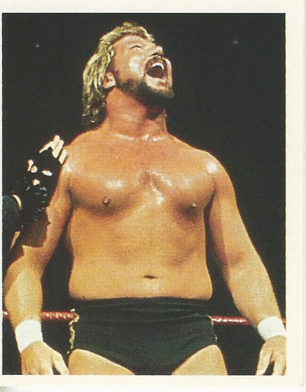 WWF Merlin Stickers 1991 Million Dollar Man Ted Dibiase #208