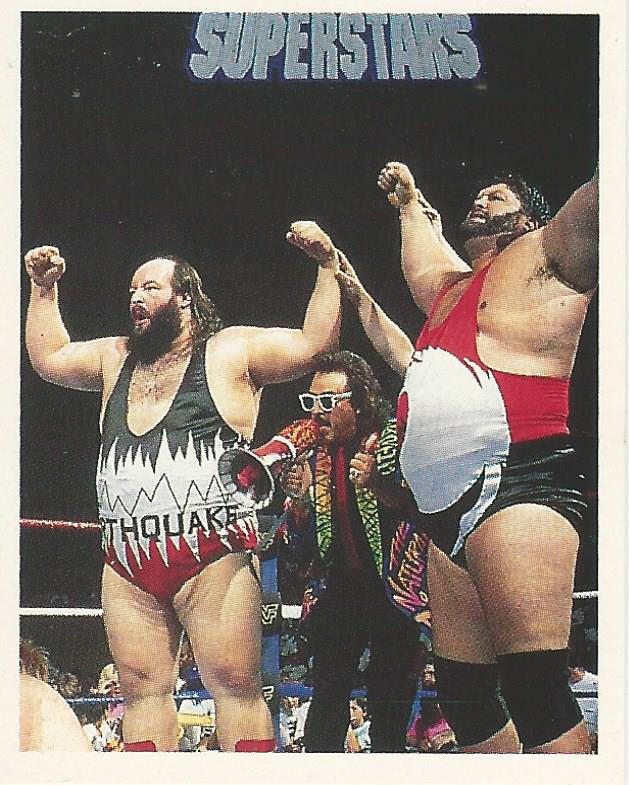 WWF Merlin Stickers 1991 Natural Disasters #20