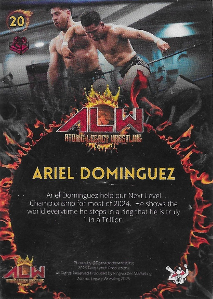 Ariel Dominguez