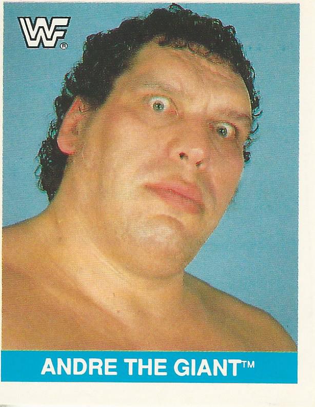 WWF Merlin Sticker Collection 1990 Andre the Giant #213