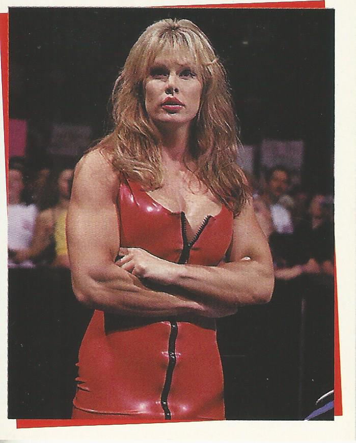 WWF Smackdown Stickers 2000 Tori #214