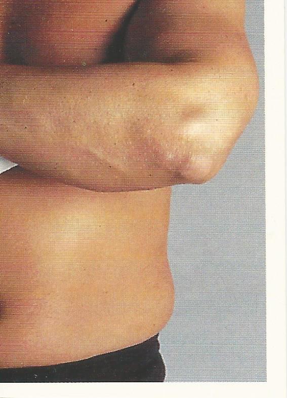 WCW Euroflash 1992 Sticker Barry Windham #215