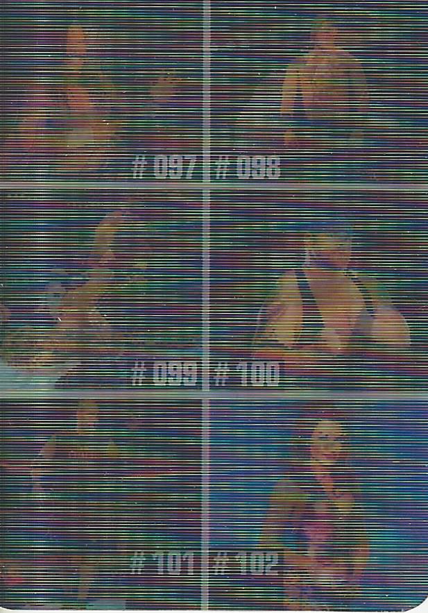 WWE Prominter Animotion 2005 Checklist #17 Al Snow, Akio, Demott, Coachman, Ivory