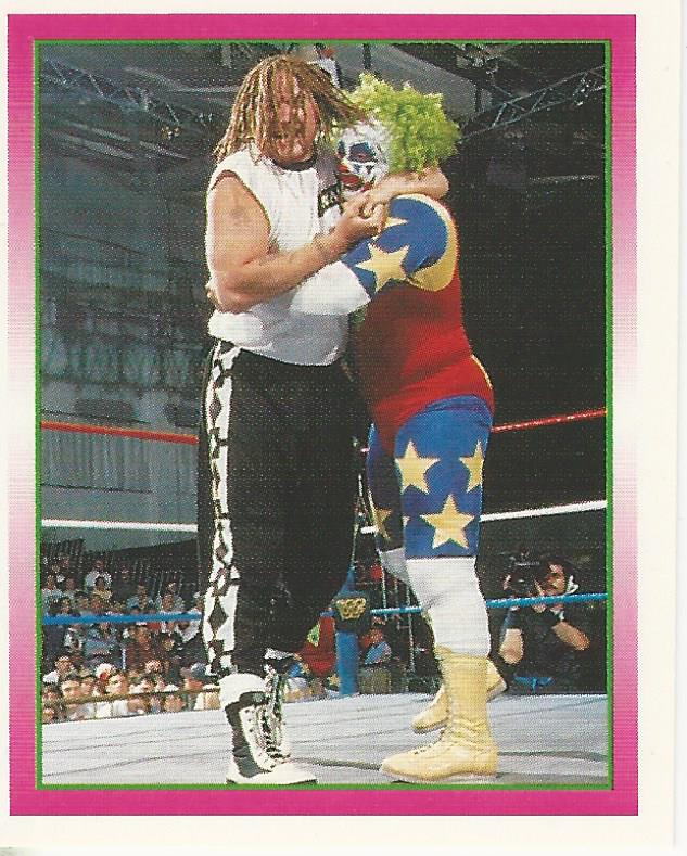 WWF Merlin Stickers 1995 Road Dogg #218