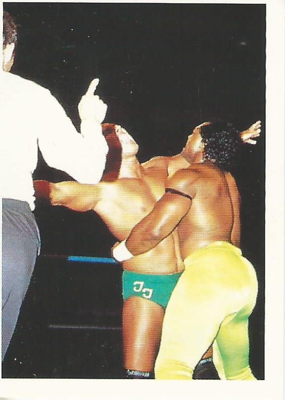 WCW Euroflash 1992 Sticker Ron Simmons #218