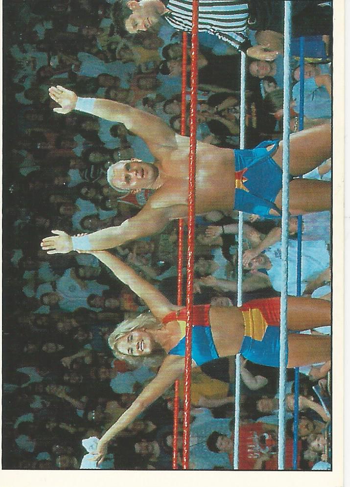 WWF Panini 1995 Sticker Collection Skip and Sunny #223