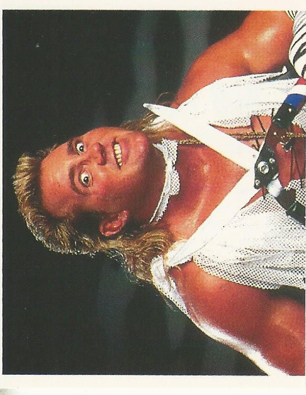 WWF Merlin Stickers 1991 Brutus Beefcake #224