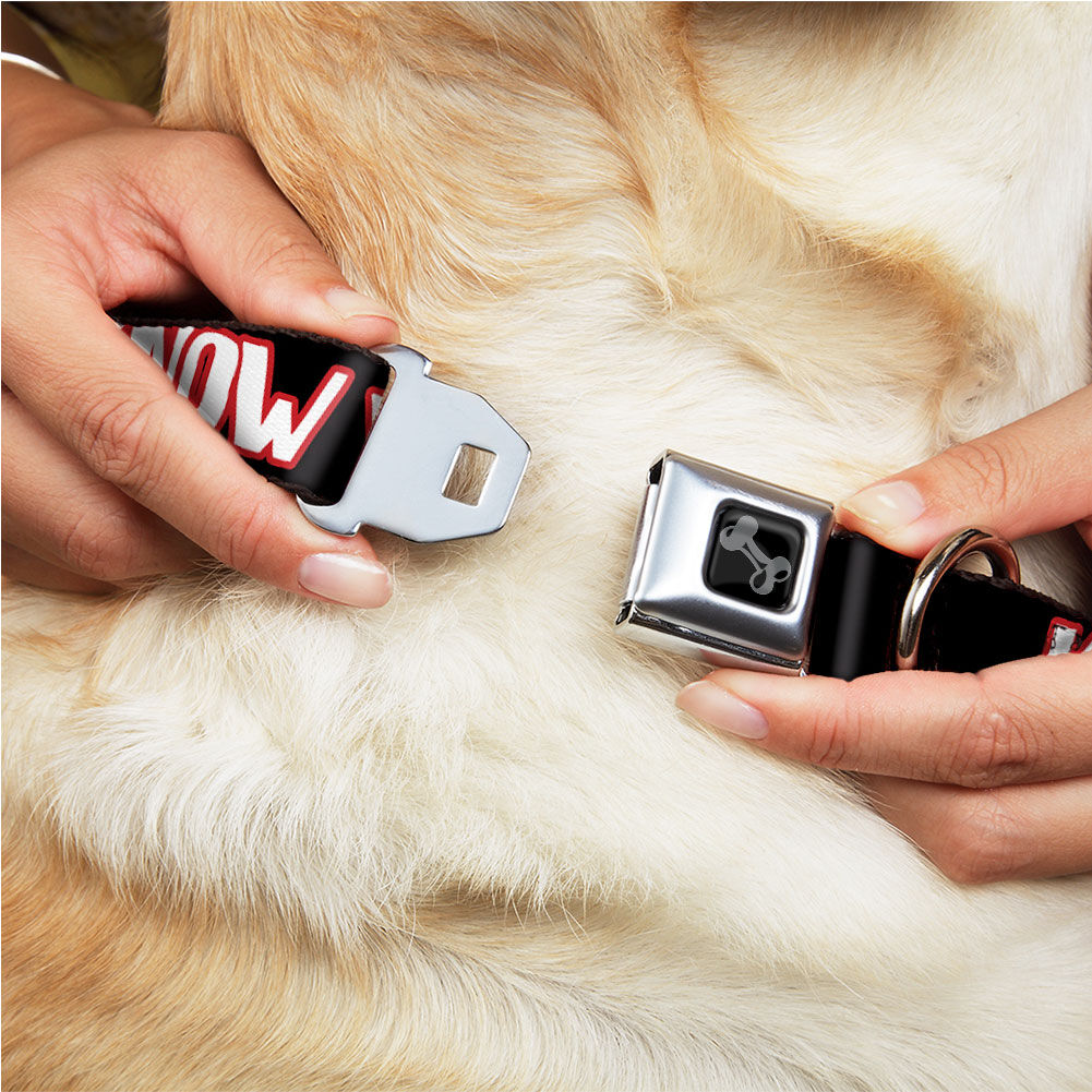 Bayley "Know Your Role Model" Dog Collar 2