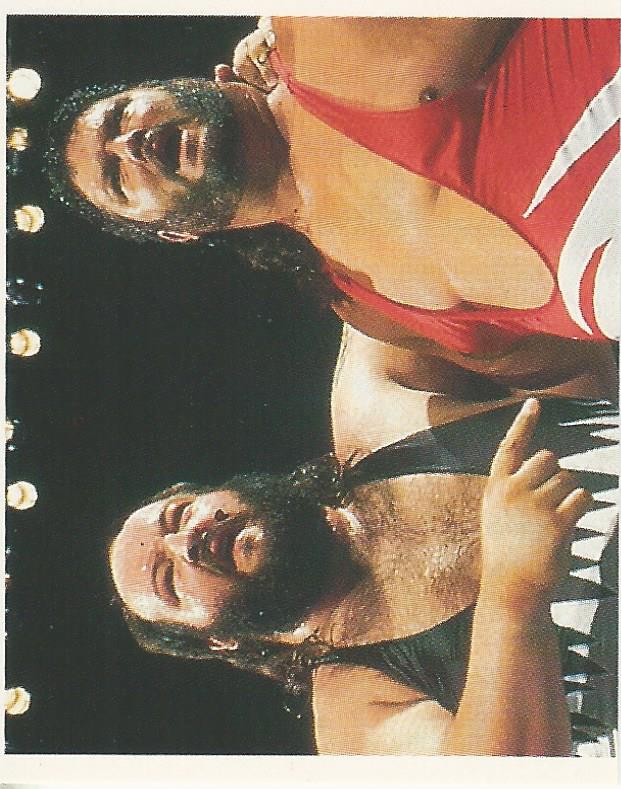 WWF Merlin Stickers 1991 Natural Disasters #22