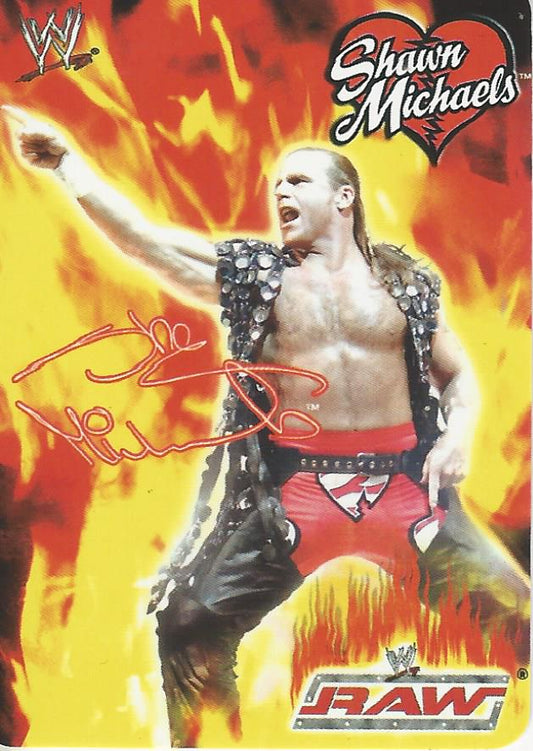 WWE Smackdown 2004 Tesla Shawn Michaels #22