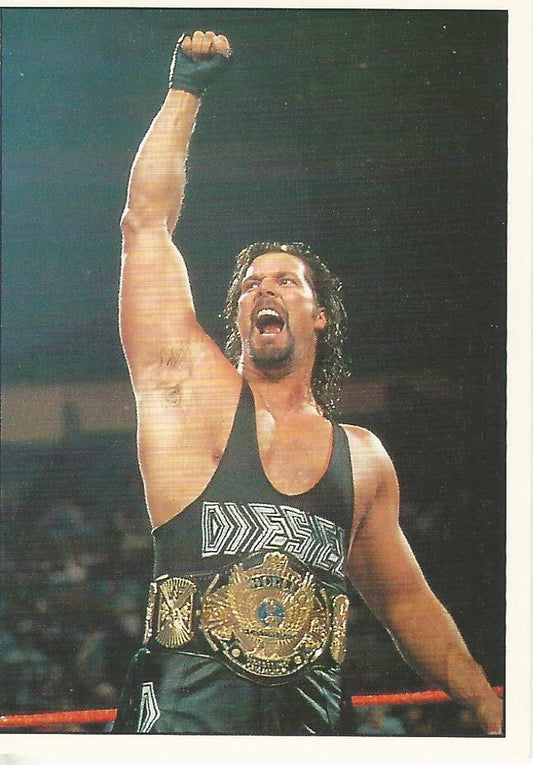 WWF Panini 1995 Sticker Collection Diesel #238