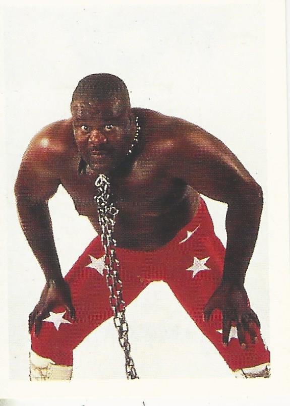 WCW Euroflash 1992 Sticker Junkyard Dog #239