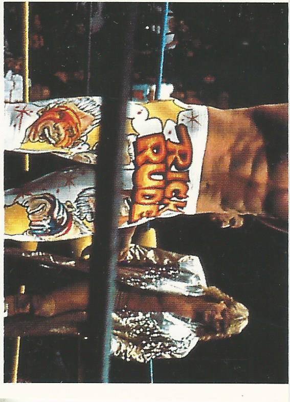 WCW Euroflash 1992 Sticker Rick Rude #23