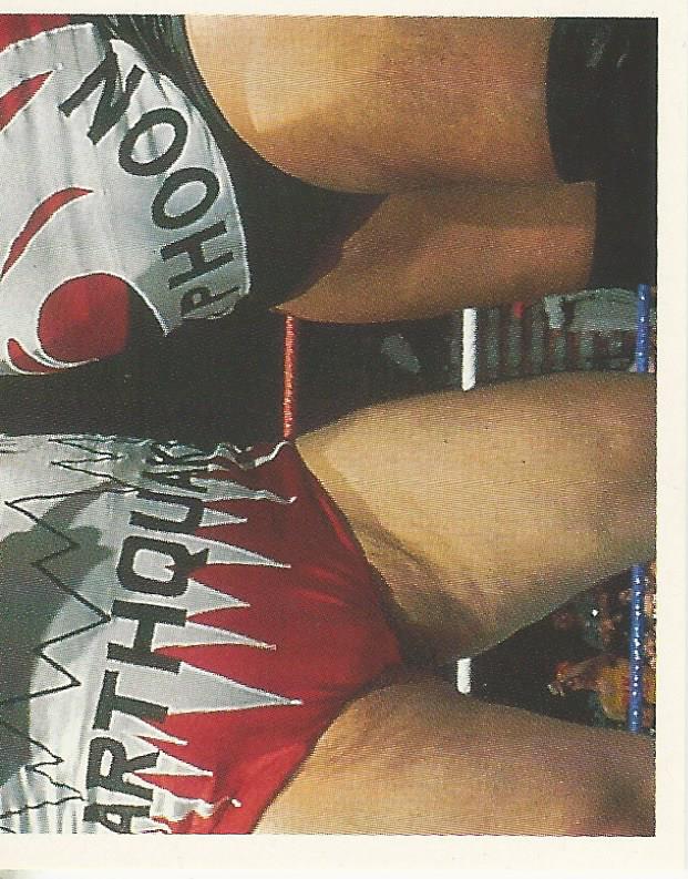 WWF Merlin Stickers 1991 Natural Disasters #23