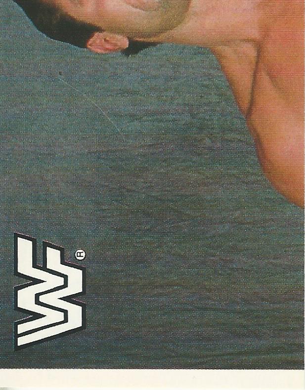 WWF Merlin Sticker Collection 1990 Rick Rude #23