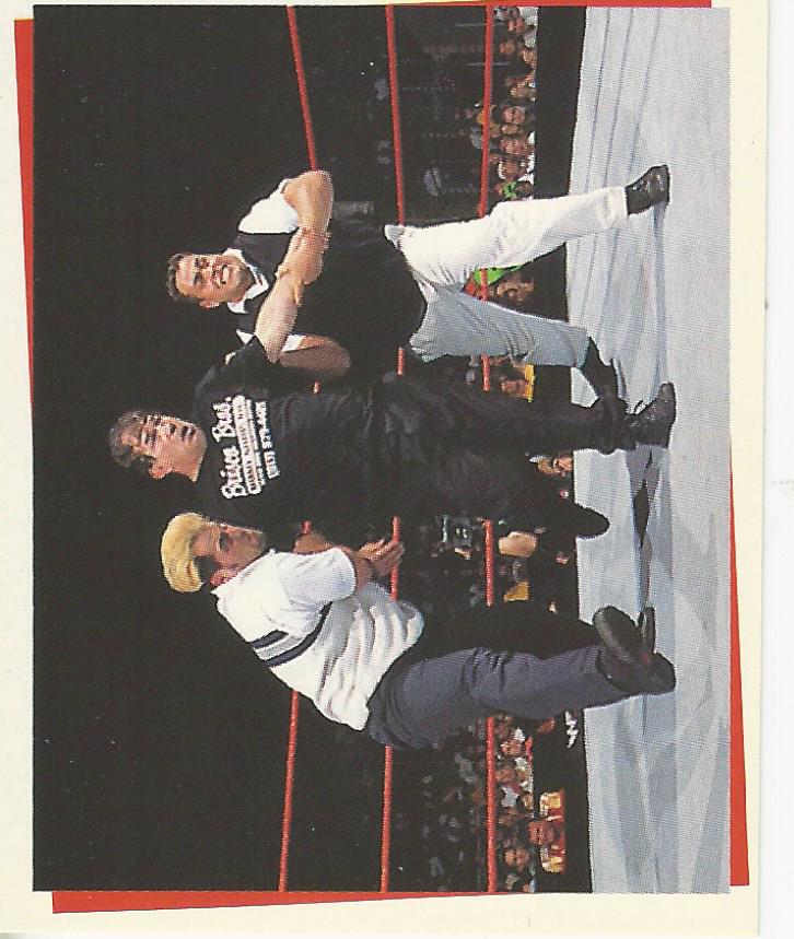 WWF Smackdown Stickers 2000 Mean Street Posse #242