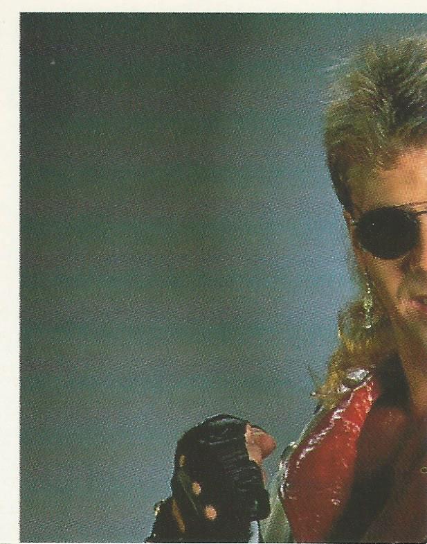 WWF Merlin Stickers 1992 Shawn Michaels #243