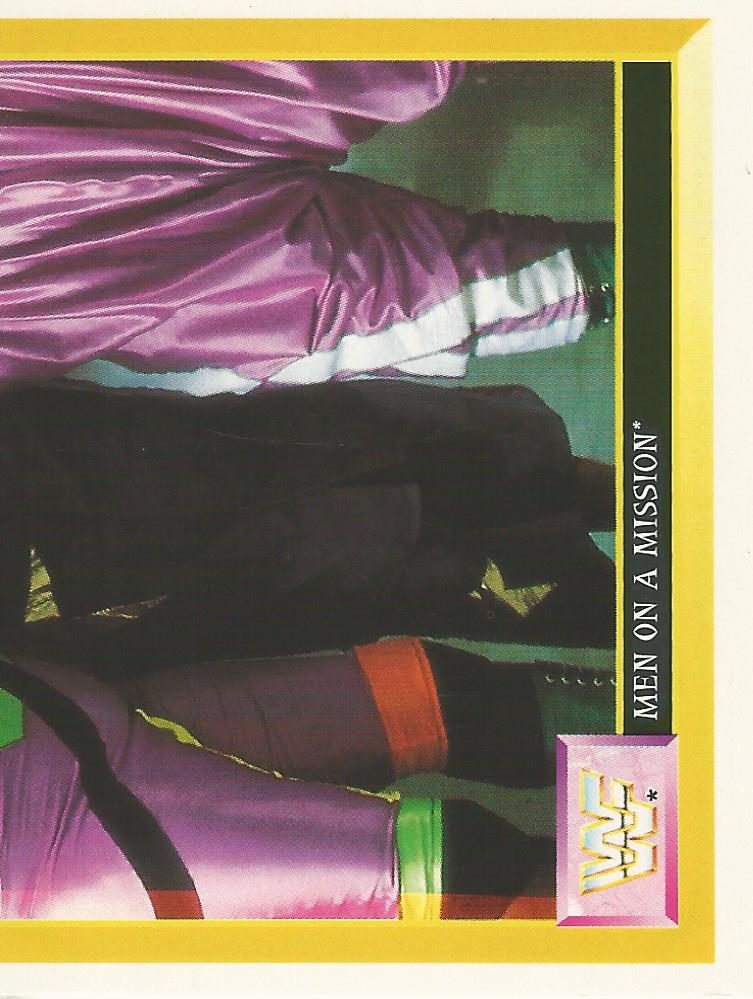 WWF Merlin Sticker 1994 Men on a Mission #243