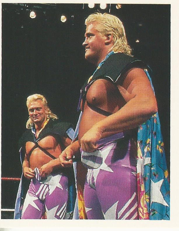 WWF Merlin Stickers 1991 Beverly Brothers #245
