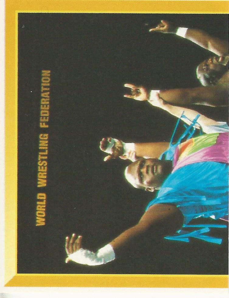 WWF Merlin Sticker 1994 Men on a Mission #246
