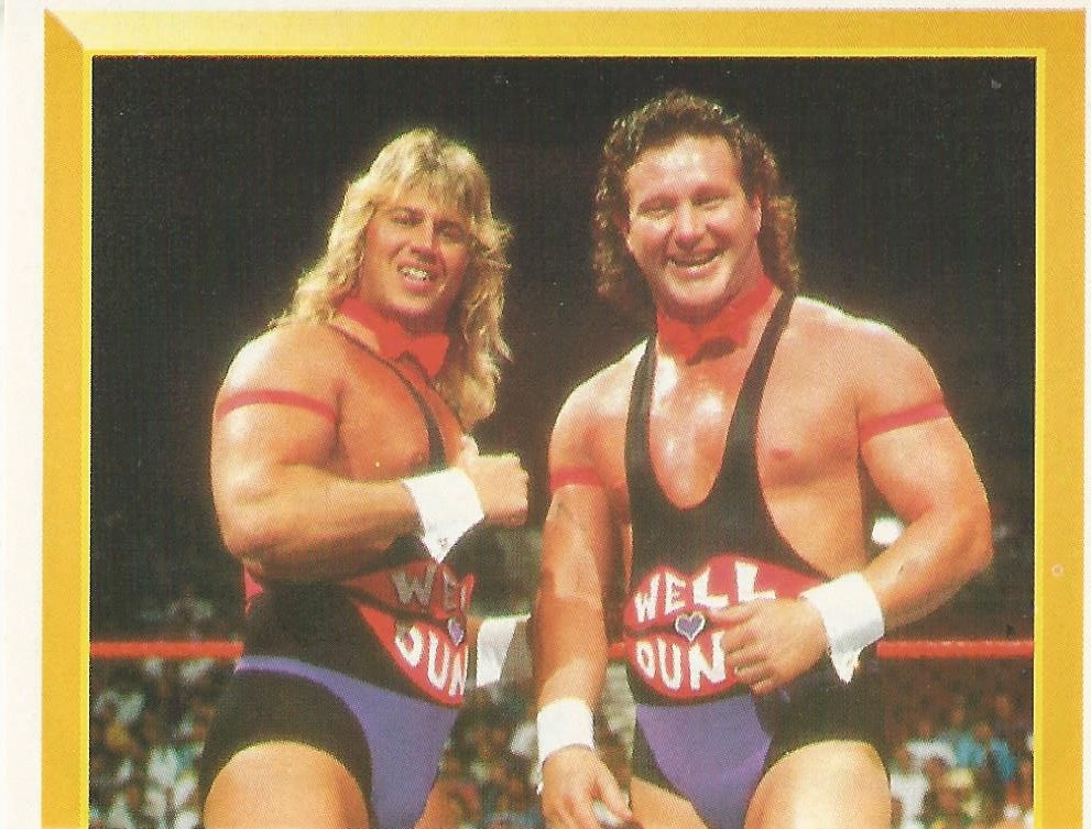 WWF Merlin Sticker 1994 Well Dunn #249