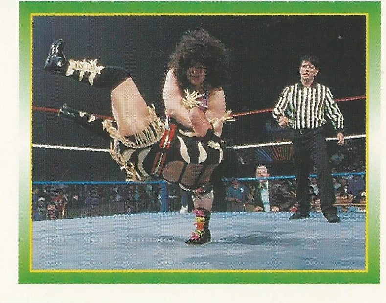 WWF Merlin Stickers 1995 Bertha Faye #251