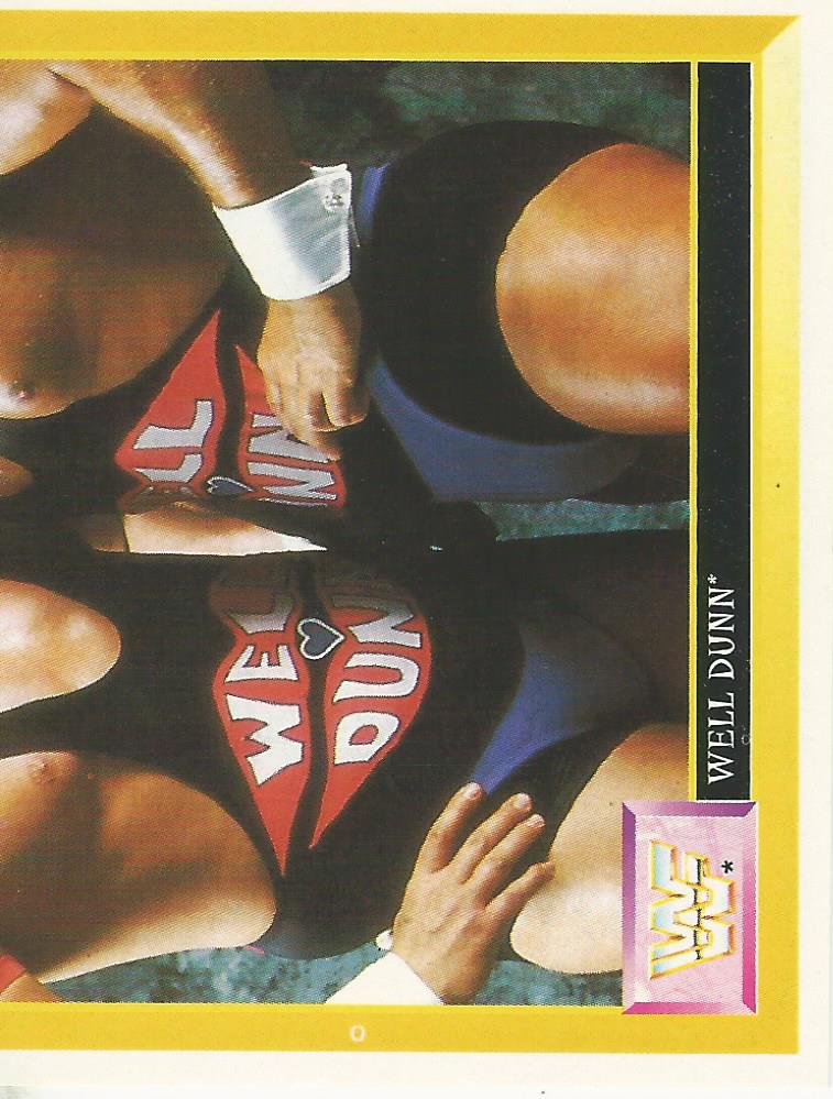 WWF Merlin Sticker 1994 Well Dunn #252