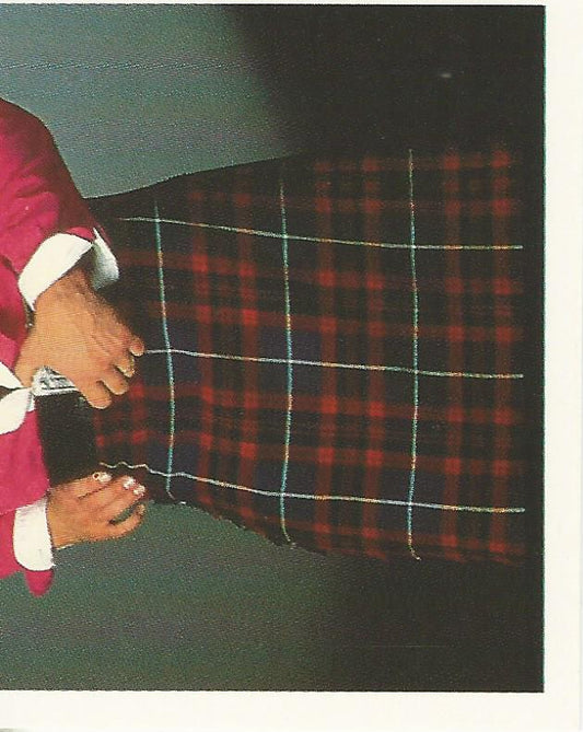 WWF Merlin Stickers 1992 Roddy Piper #258