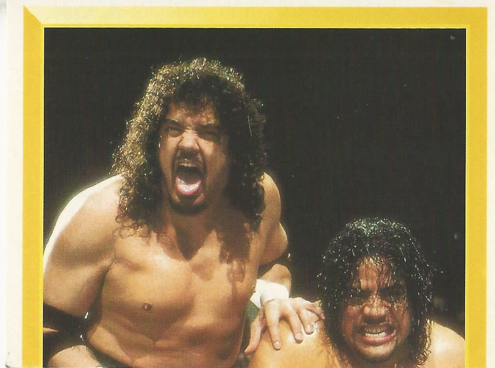 WWF Merlin Sticker 1994 Headshrinkers #259
