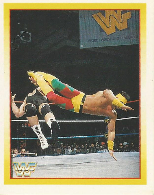 WWF Merlin Stickers 1995 Aldo Montoya #259
