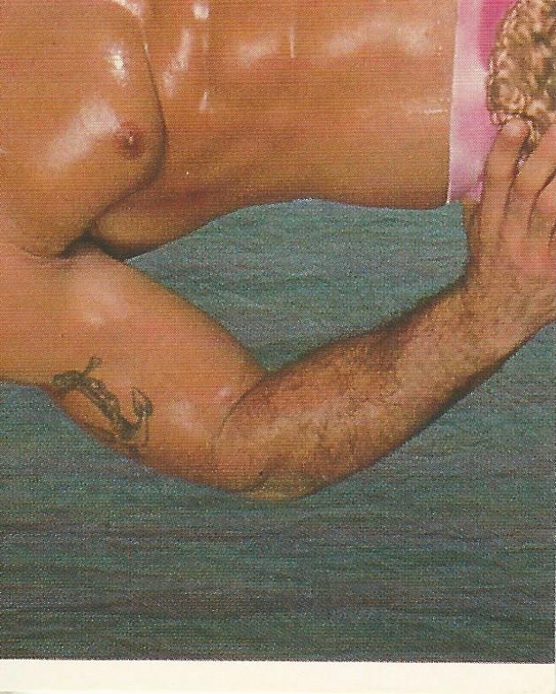 WWF Merlin Sticker Collection 1990 Rick Rude #25