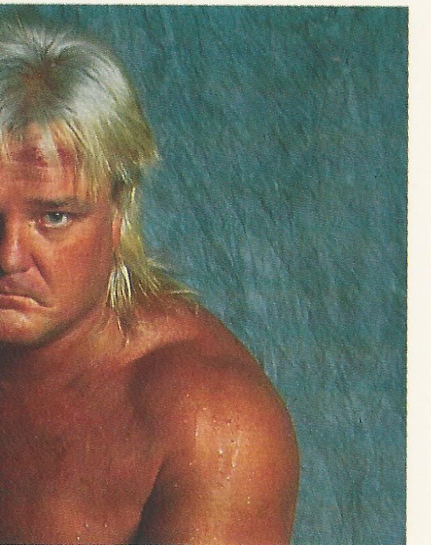 WWF Merlin Stickers 1991 Greg Valentine #260
