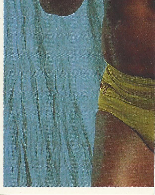 WWF Merlin Stickers 1991 Greg Valentine #261