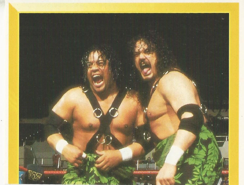 WWF Merlin Sticker 1994 Headshrinkers #263