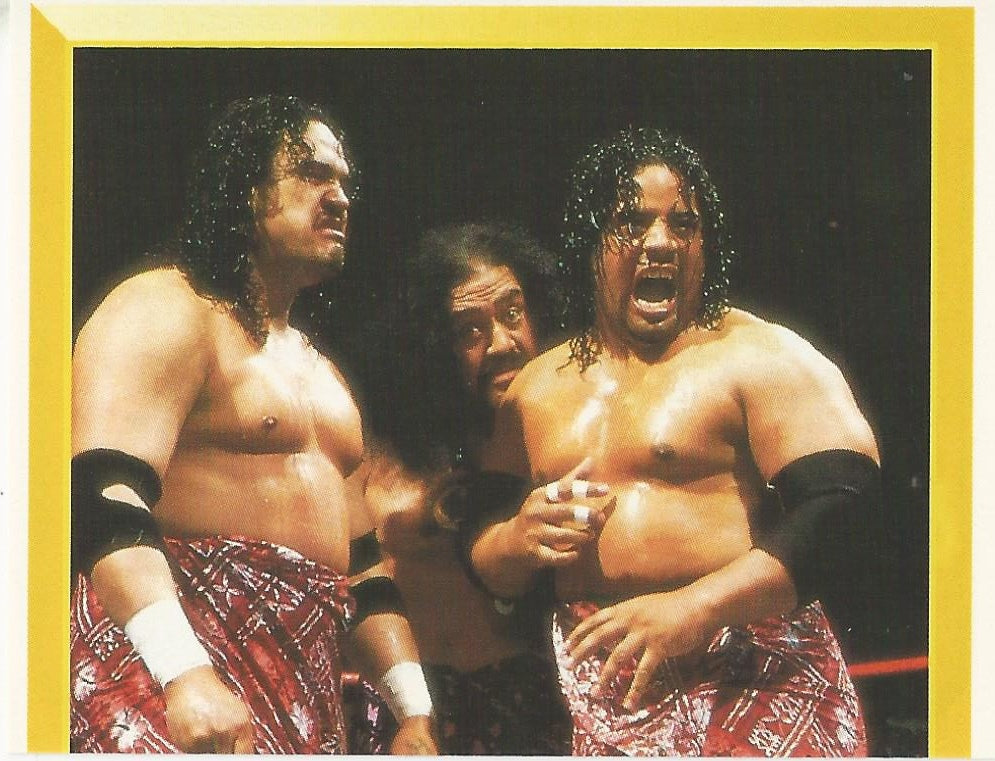 WWF Merlin Sticker 1994 Headshrinkers #266