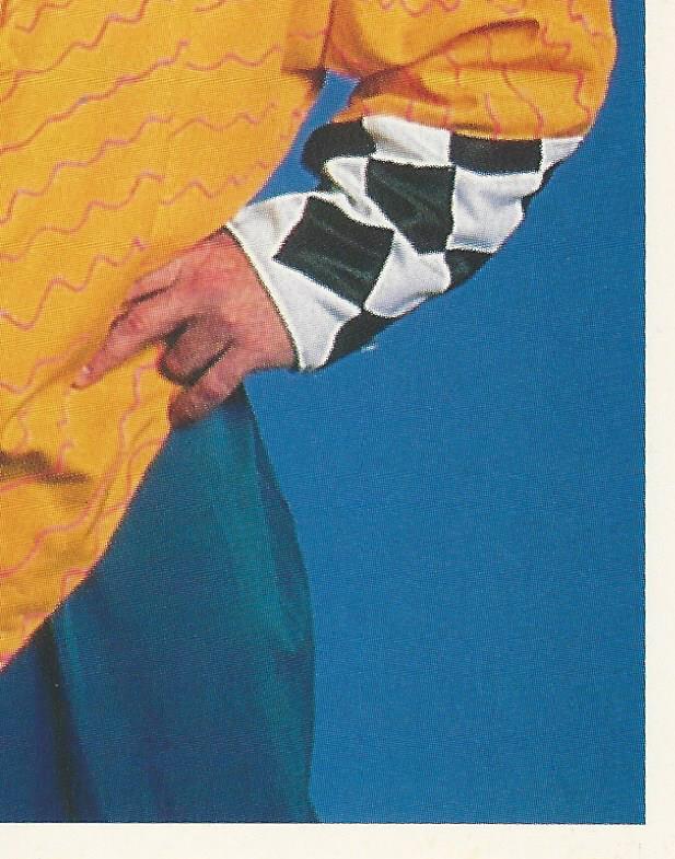 WWF Merlin Stickers 1991 Jim Neidhart #269